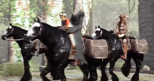 The horses in ICO.