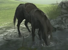 Agro drinking water.