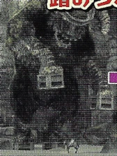 Frames of the early 2nd colossus' stomp attack compiled into a gif. From the January 14th 2005 edition of Famitsu.