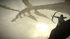 The 13th colossus flying in the remake.