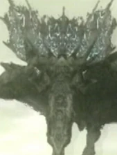 A close-up of Roc's face.