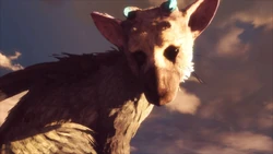 Trico, Team Ico Wiki