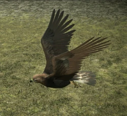 The kite in the PS4 remake.