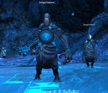 Zomgul Gatherer.jpg (149 KB) Zomgul Gatherer