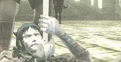 Shadow of the Colossus: The Tragic Story of Wander and a Fallen