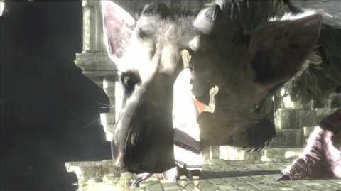How The Last Guardian Made Players Care About its Characters