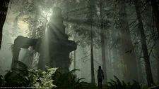 The save shrine from the Forest of Giants.