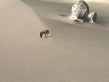 Early screenshot of the Desert.