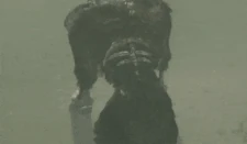 The pilot version of the 2nd colossus shaking.