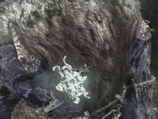 The sigil on the colossus' back.