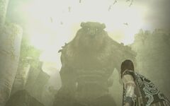 Shadow Of The Colossus Names - absolutevoper