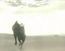 Wander riding Agro in E7, with a lightbeam pointing at E8 seen in the distance.