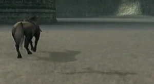 Wander wearing the Cloak of Deception. Note that his shadow is still visible.