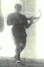 Guard B approaching Wander.