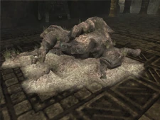 The 11th colossus' corpse.