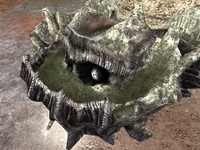 Kame' head in the E3 Demo. Its lower section was covered in moss.