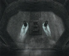 View of the room from the top while the battle is in progress.