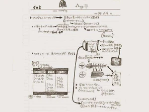 Sketch of the fish with detailed information about it.