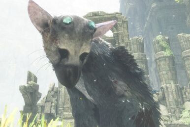 The Last Guardian, Easy Allies Wiki