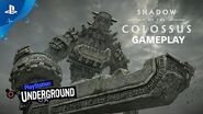 Shadow of the Colossus PS4 Gameplay PS Underground