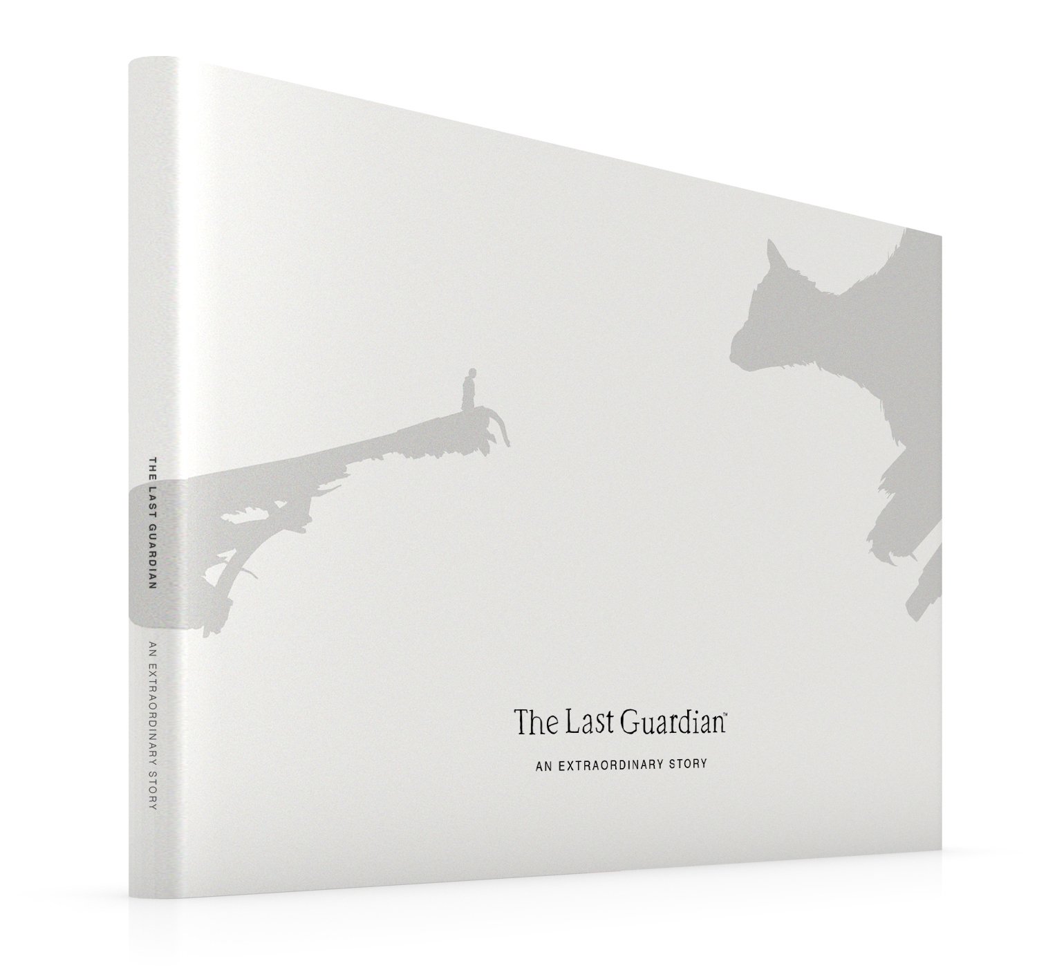 The World (The Last Guardian), Team Ico Wiki