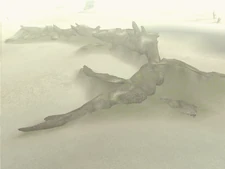 The 13th colossus' corpse.