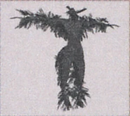 Tori in the Official Guide Book.