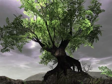 The living colossal tree in the E3 Demo.