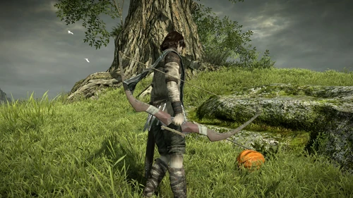 Fruit hunting in the PS4 remake.