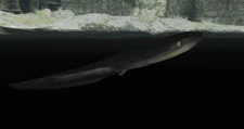 A catfish from the original game.