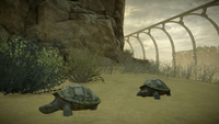 Tortoises in the PS4 remake.