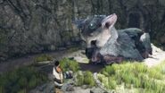 Trico sitting similarly to a cat.