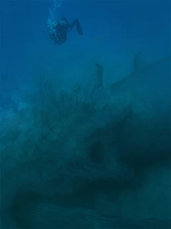 The head of the giant "statue".