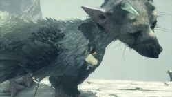 The Last Guardian: An Extraordinary Story, Team Ico Wiki