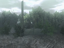 Towers on the outside of the forest.