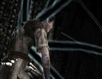 Wander absorbing the black tendrils. Note that Wander's hair is already very dark, his skin marked and his clothes dirty, meaning he has already slayed several colossi.