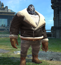 Tera shearling jacket discount