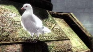 A dove in The Last Guardian.