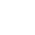 Brawler
