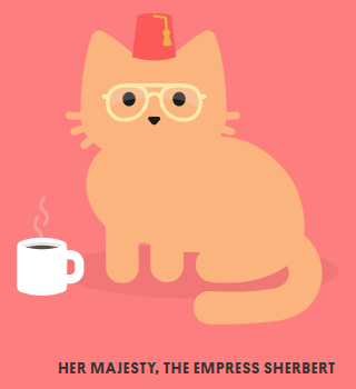 Frequently Asked Questions Tabby Cat Wiki Fandom Frequently Asked Questions Tabby Cat Wiki Fandom