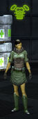 Vendor armor.jpg