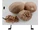 Nut.jpeg