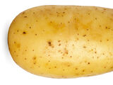 Potato