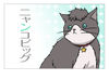 Nyanko Big