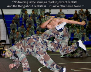 Taekwondo Self Defense Taekwondo Wiki Fandom