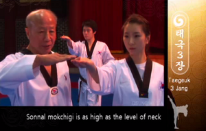Inward Knifehand Strike in Taegeuk Sam Jang