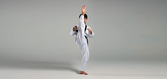 Axe Kick Taekwondo Wiki Fandom