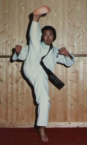 Jang Hwan Shin, Father of Austrian Taekwondo