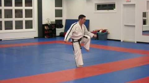 Moon_Moo_performed_by_Joel_Denis