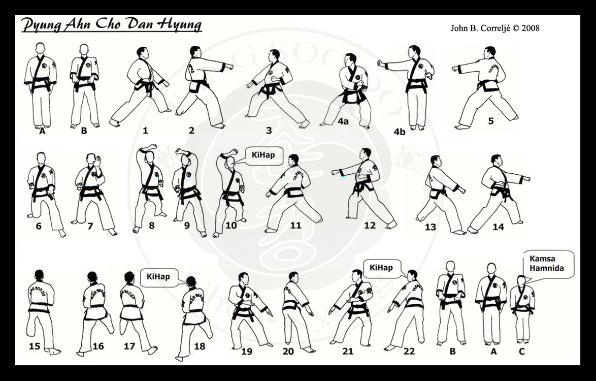 Pyung Ahn Cho-Dan, Taekwondo Wiki